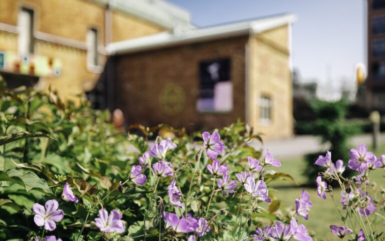 Kukkia tiilipintaisen rakennuksen edustalla